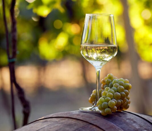 Історія виноробства Лос-Анджелеса. Огляд дивовижних місцевих виноробень