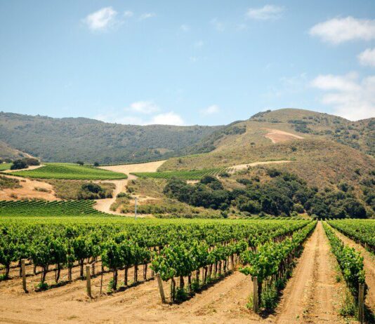 “From Cows to Concrete” or the forgotten history of farming in Los Angeles