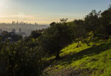 Soil condition in Los Angeles