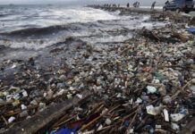 River pollution in Los Angeles