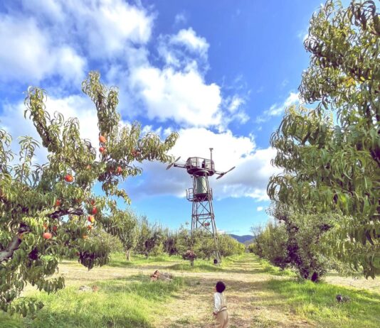 Bloom Ranch Near Los Angeles: A Legacy of Organic Farming and Wellness
