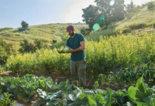 Avenue 33 Farm: The Story of an Urban Farm