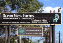 The History of Ocean View Farms