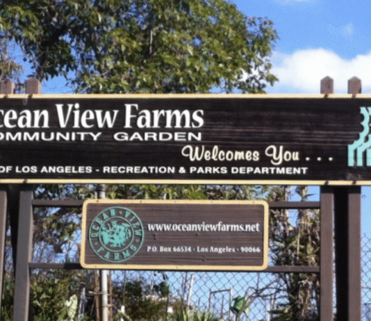 The History of Ocean View Farms