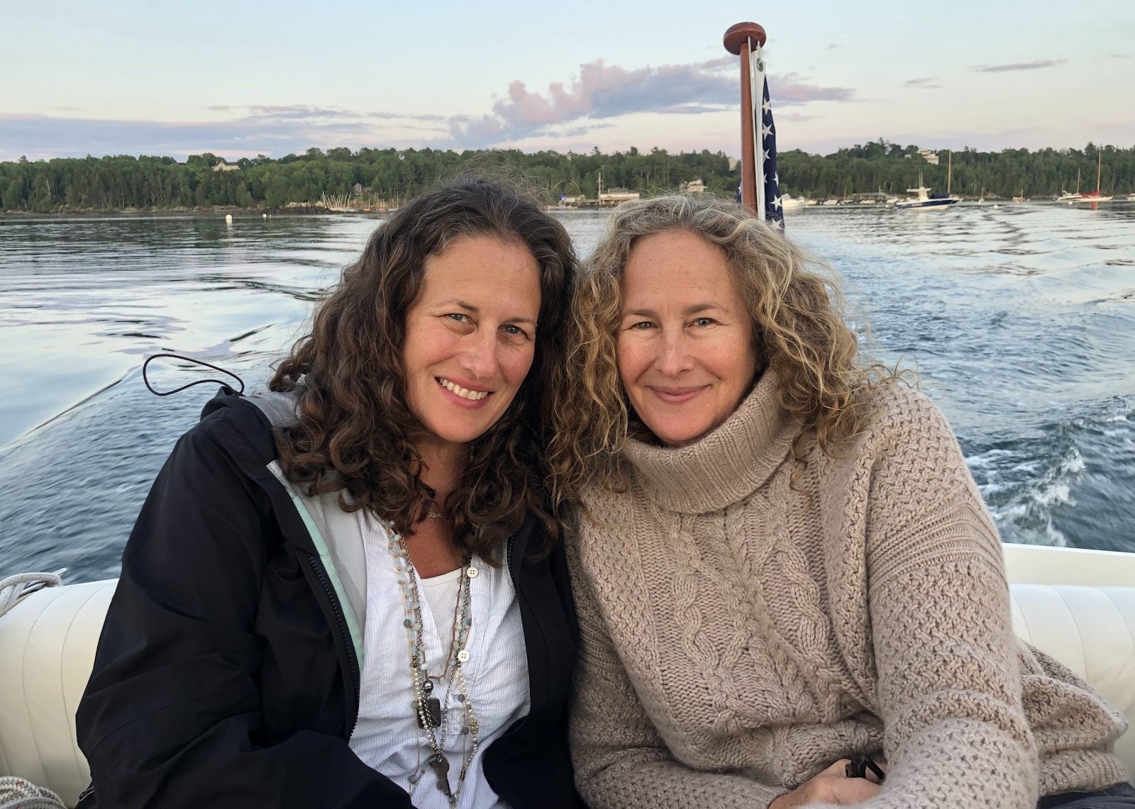 Dianna Cohen Speaker