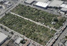 South Central Farm – одна из самых известных городских ферм США