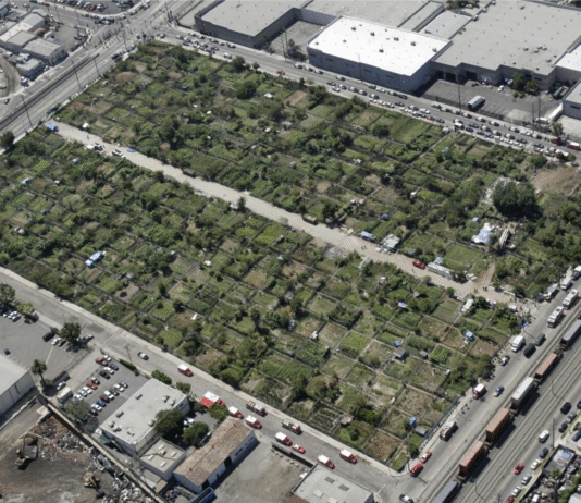 South Central Farm – одна из самых известных городских ферм США