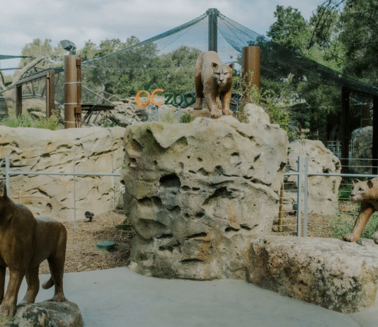 Orange County Zoo – унікальний зоопарк дикої природи