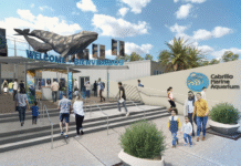 Cabrillo Marine Aquarium – центр морской науки Южной Калифорнии
