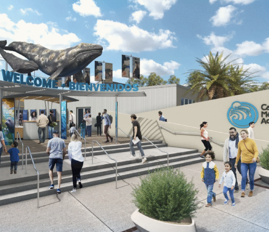 Cabrillo Marine Aquarium – центр морської науки Південної Каліфорнії