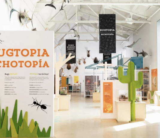 Insect Zoo – уникальный живой музей насекомых в National Museum of Natural History
