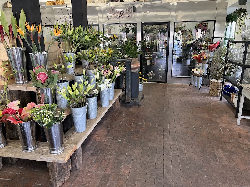 Dottie's Flowers & Plants