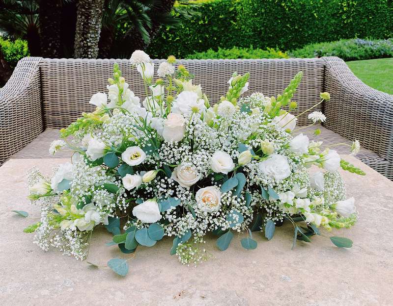 Dottie's Flowers & Plants