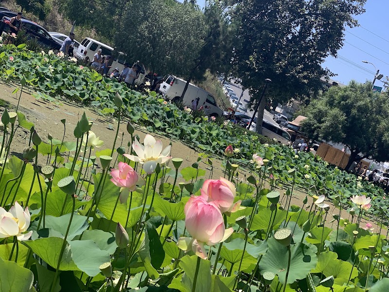 Echo Park