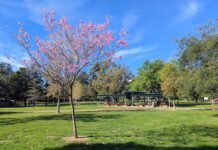 Ernest E. Debs Regional Park