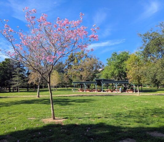 Ernest E. Debs Regional Park