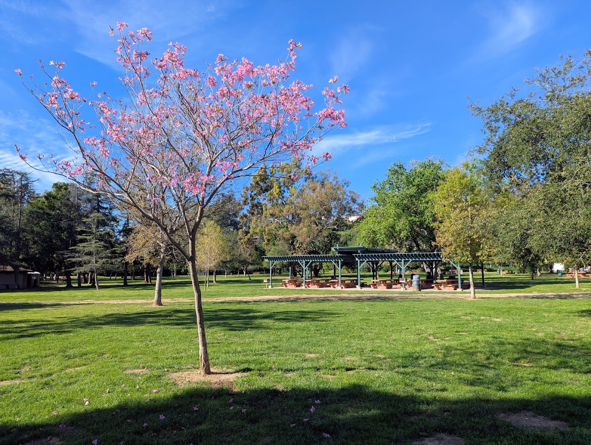 Ernest E. Debs Regional Park — Park