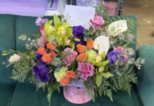 Florist Pink Clover