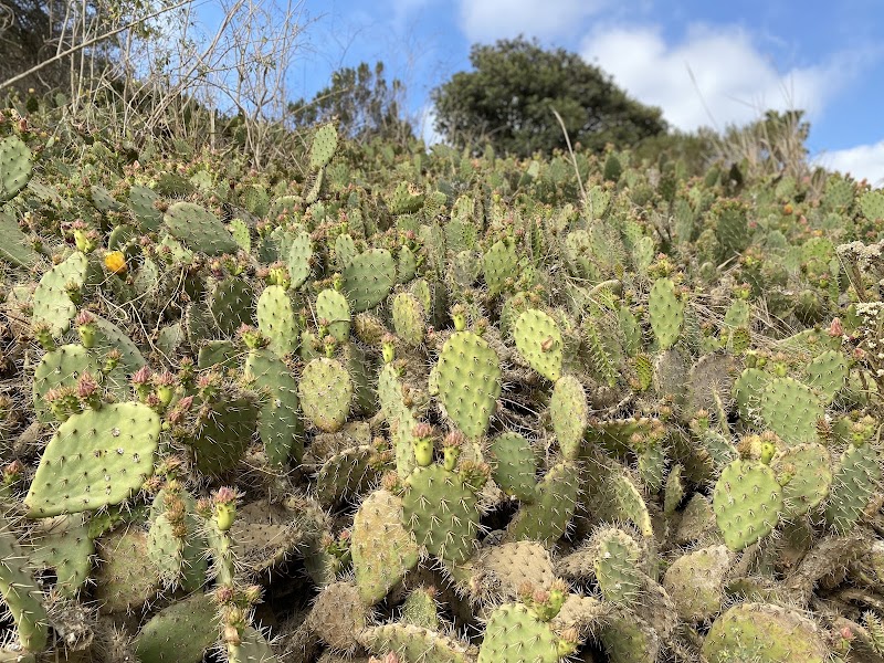 Kenneth Hahn State Recreation Area