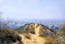 Runyon Canyon Park