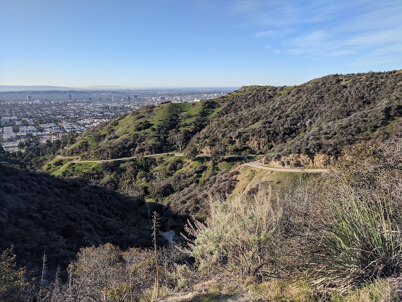 Runyon Canyon Park