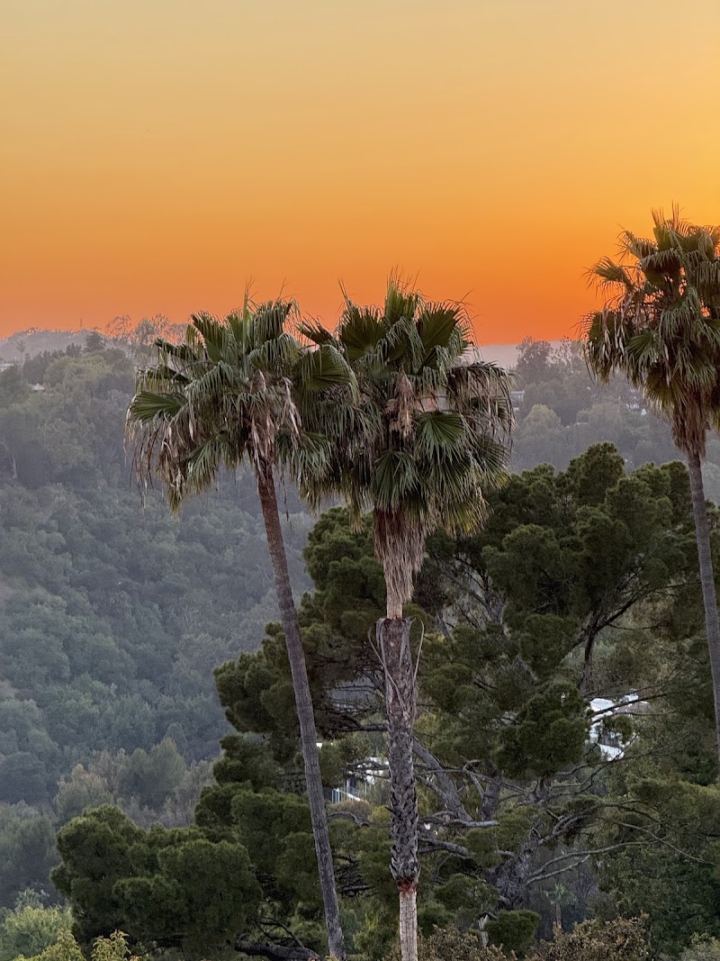 Runyon Canyon Park