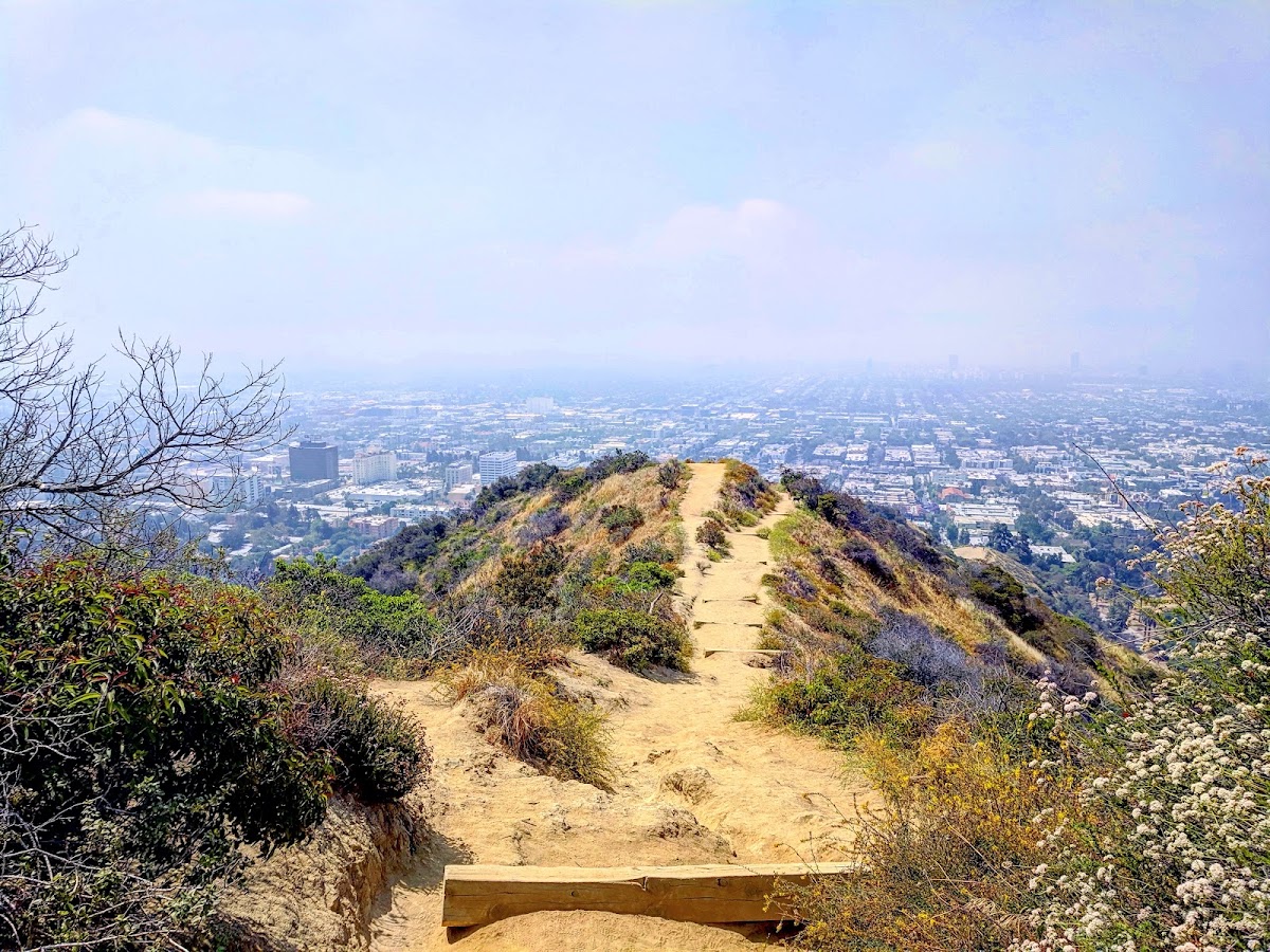Runyon Canyon Park — Park